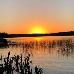 Meet your Posher, Bill